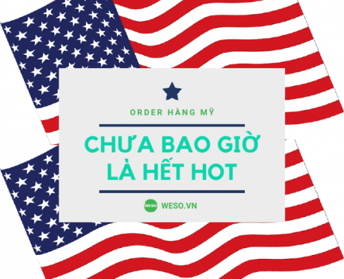 Dịch Vụ Chuyên Nhận Order Hàng Mỹ Về Việt Nam Của Công Ty Nào Uy Tín?
