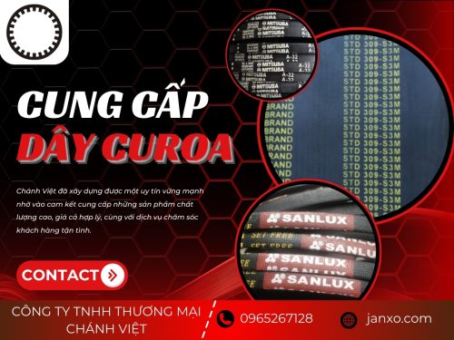 Dây curoa Chánh Việt